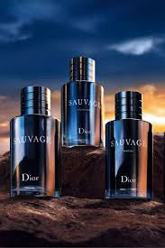 SAUVAGE DIOR